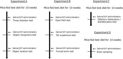 Oxytocin Ameliorates Impaired Behaviors of High Fat Diet-Induced Obese Mice